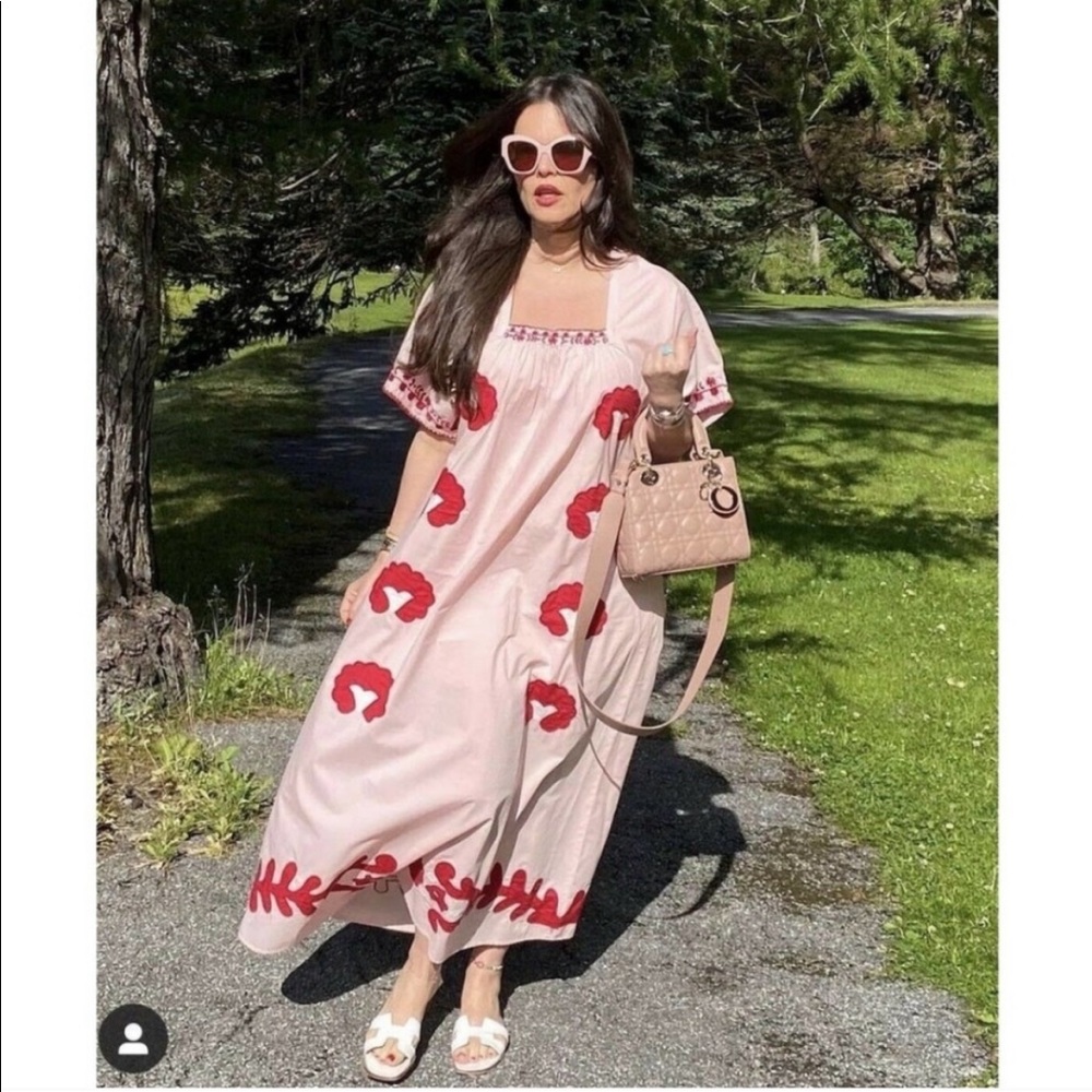 ZARA NWT LIMITED EDITION BLOGGERS FAVORITE EMBROIDERED DRESS 🍒